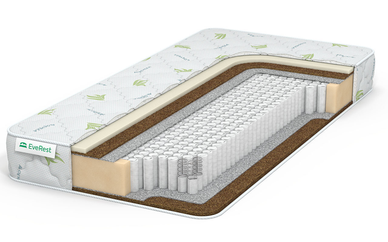 Everest Ту-Вэй Рестфом бикокос S1000